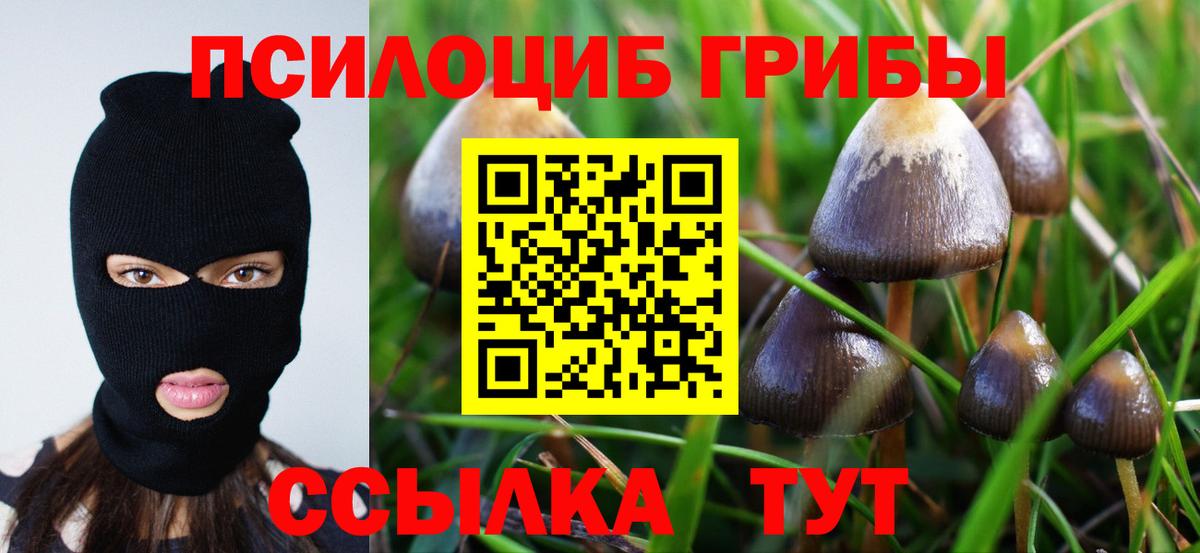 Галлюциногенные грибы Cubensis Сочи